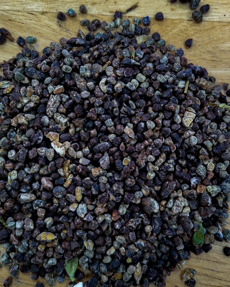 Green Cardamom Seeds 
